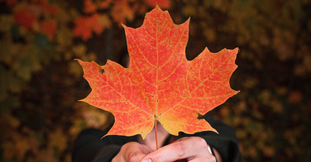 8 millions Canadians have high blood pressure