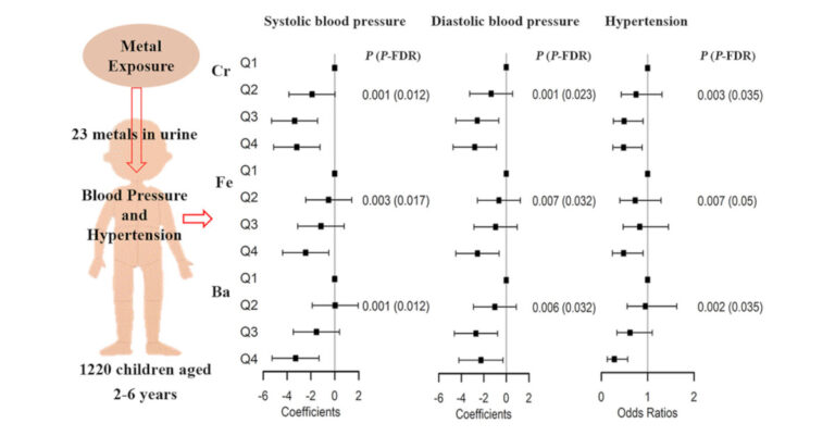 blood pressure chart metals in urine