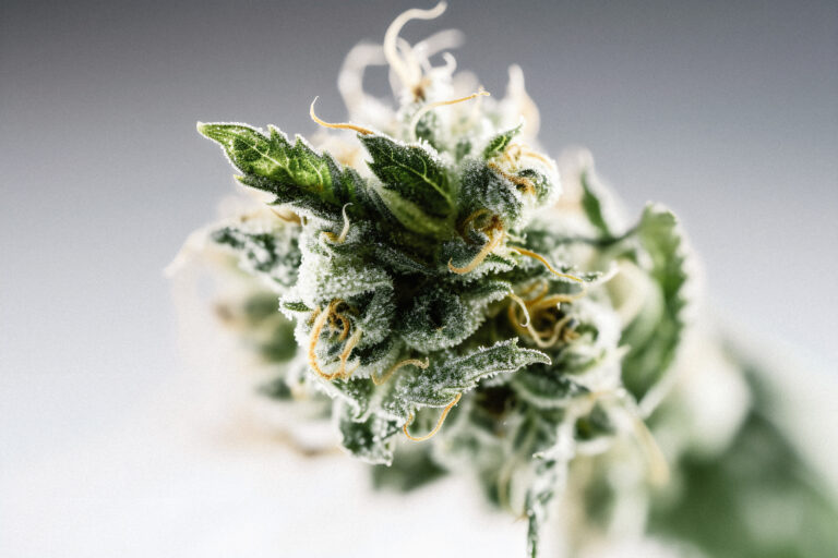 weed blood pressure